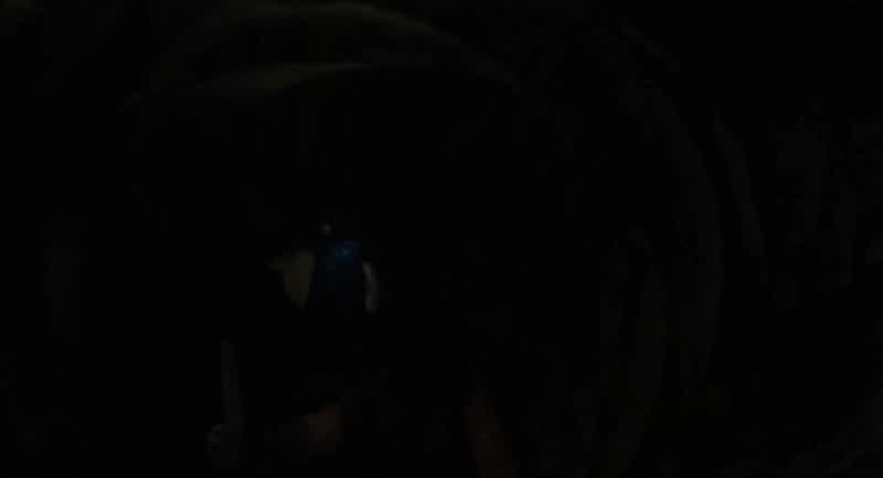 Coraline?
