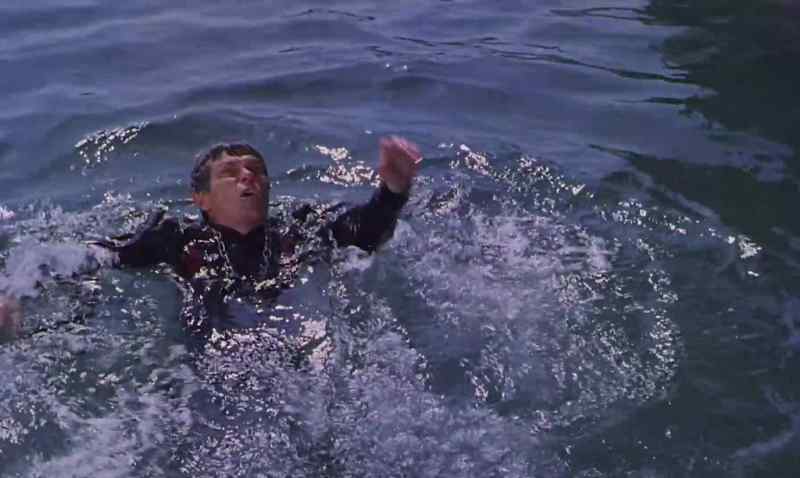 Cormoran, after them!