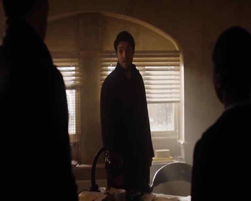Cormoran?