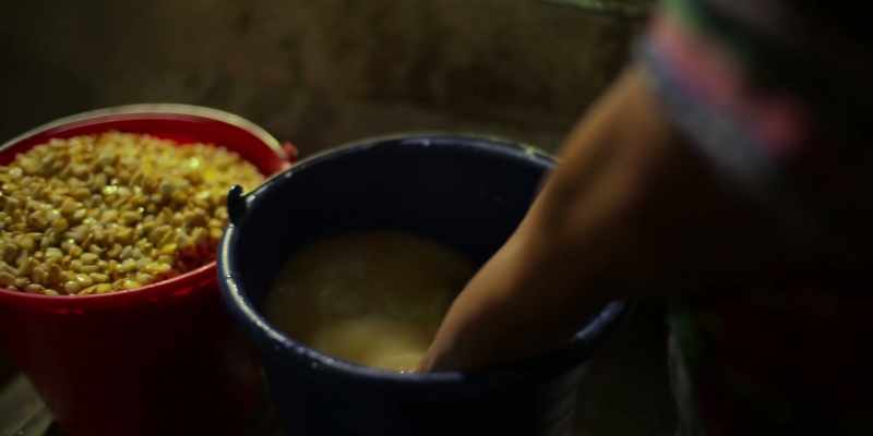 Corn is very important here in our town