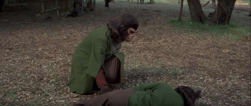 Cornelius are you all right