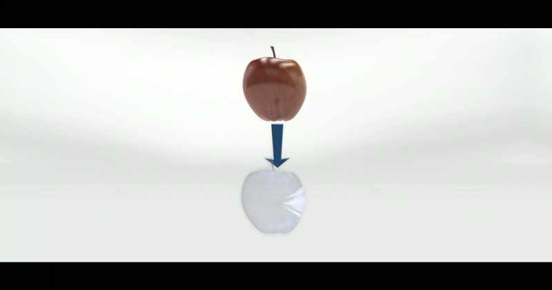 that corporeal objects are made of fundamental particles