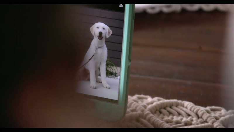 Corrine, that's your doggy. Rory, that's such a cool name