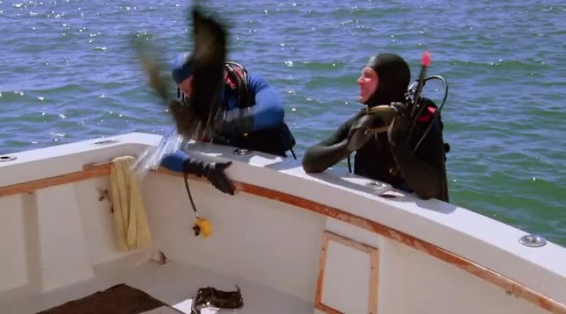 CORT: OH, MAN!
