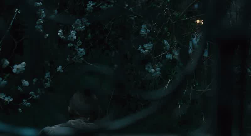 Cosette, what are you doing?