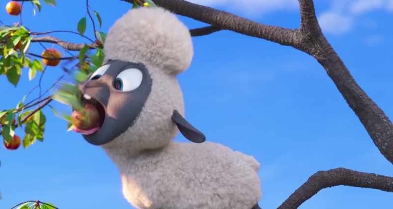 Cotton, what are you doing down there?