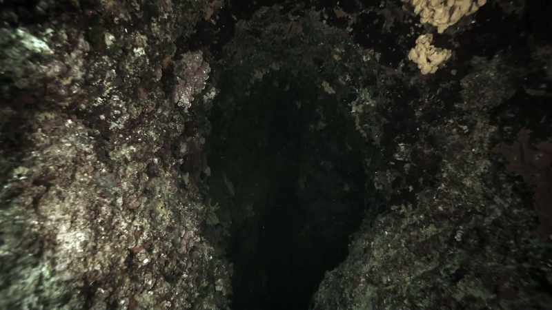 Could it be draining into an underground cavern as some locals believe?