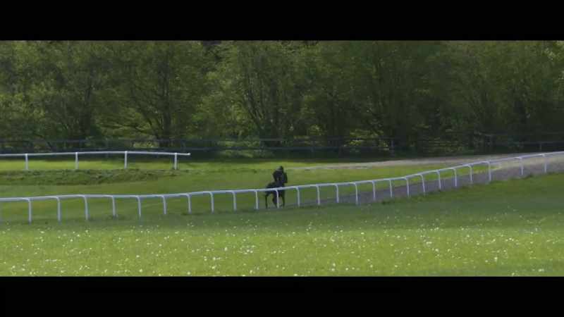 Could this be the horse to fulfil his Derby dream?