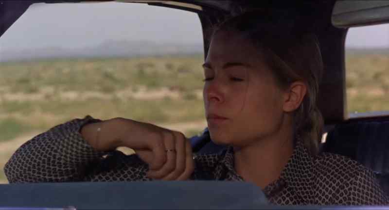 Could you pull over for a second?