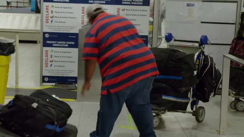 COVINGTON: So, each food courier will bring in three to six bags