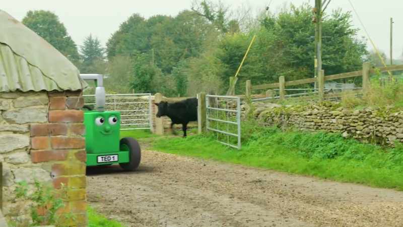 [cow mooing loudly]
