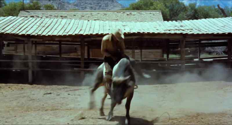 [cowboys cheering]