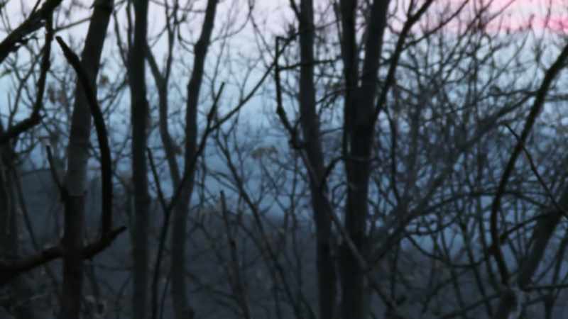 Cox: TOWARD THE BACK SIDE OF THE MOUNTAIN