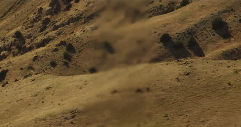 Coyote, you okay?