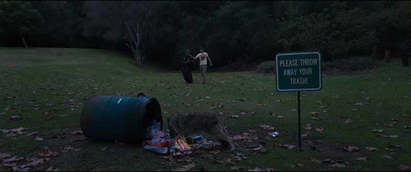 Coyotes are blessed creatures
