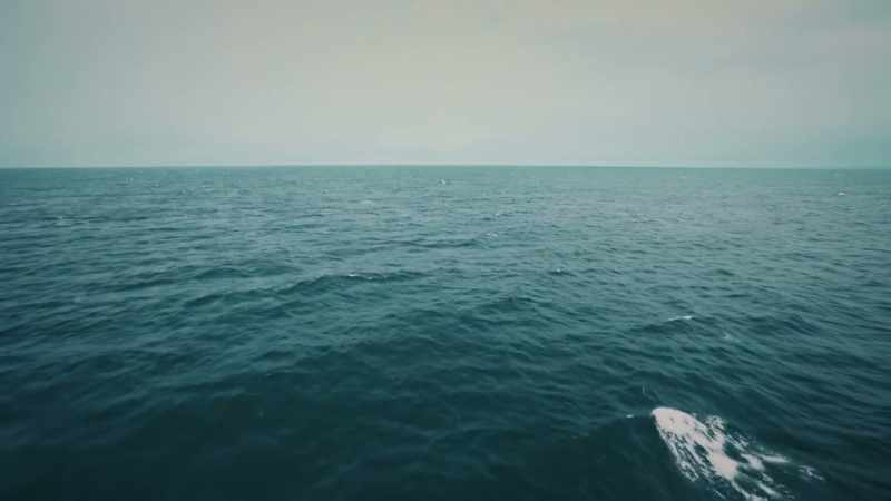 CRAFT: Did the vessel meet with another vessel