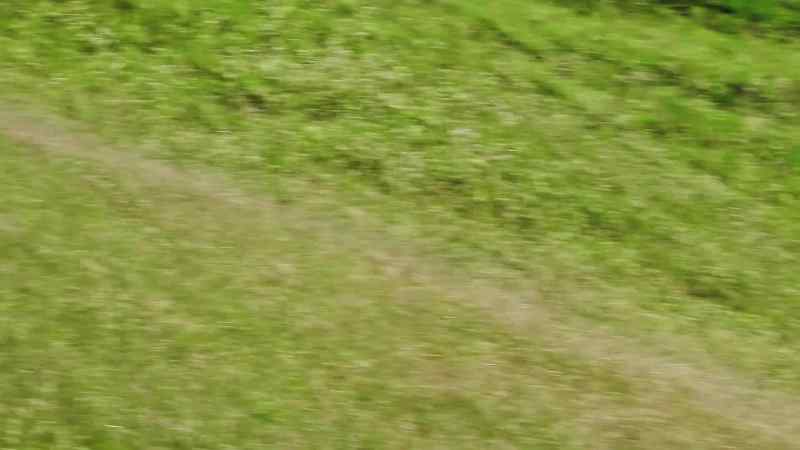 Crash! -(THUDDING AND CLATTERING)