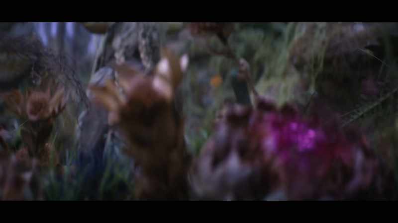 ��...crawlies creep ♪