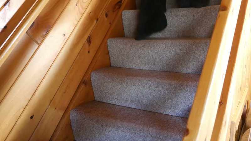 [creaking stairs]