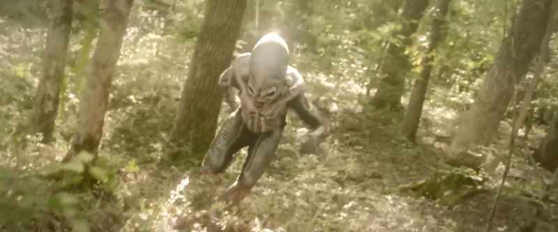 (creature chittering)