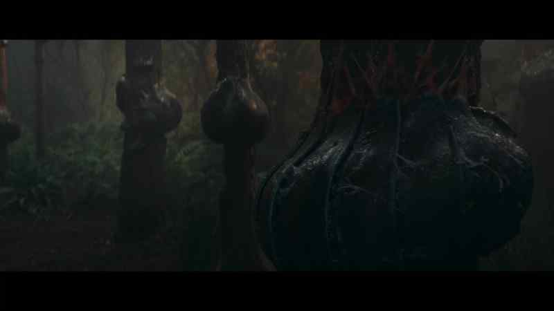 [creature chitters]