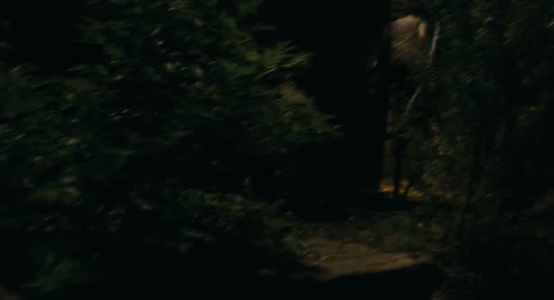 Wait for me!