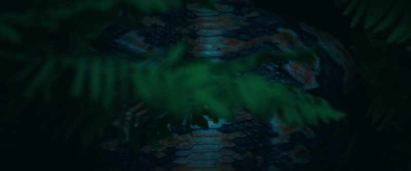 (creatures chattering)