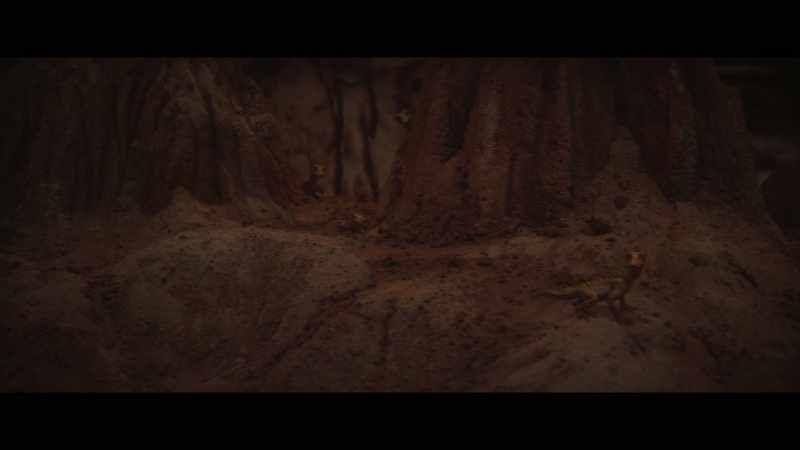 [creatures chirrup]