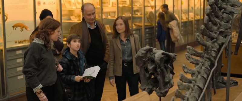 Cretaceous period. North America and Europe
