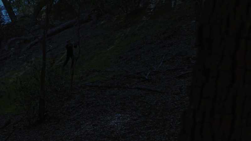 (crickets chirping) (dramatic music)
