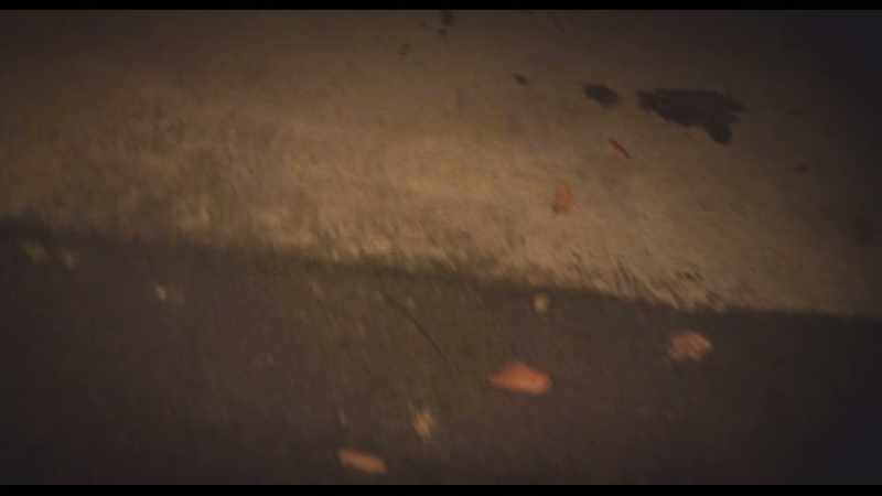 (crickets chirping) (footsteps crunching)