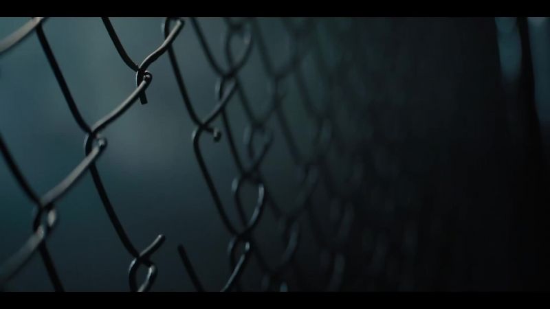 (CRICKETS CHIRPING) - (GATE RATTLING)