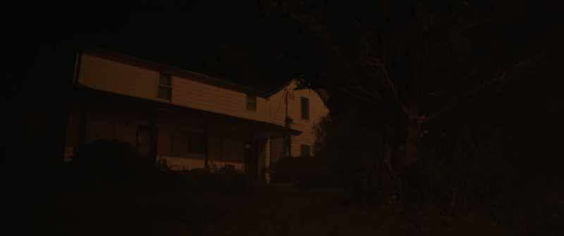 (crickets chirping) -(night birds calling)
