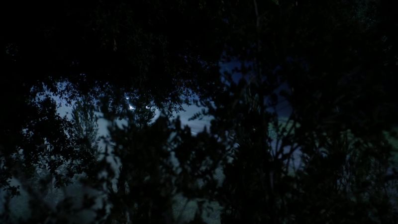 (crickets chirping, owl hooting)