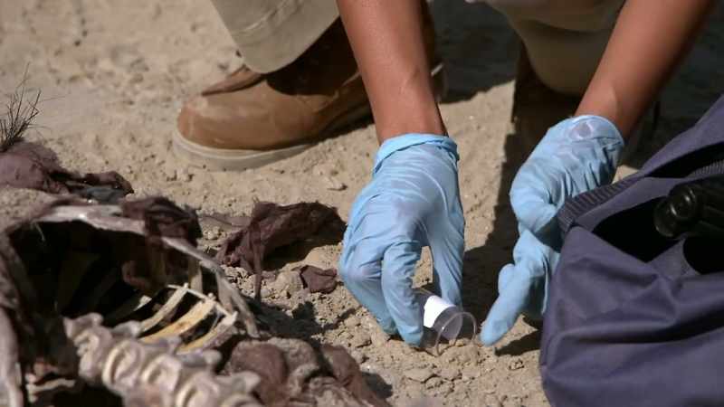 CRIME-SCENE ANALYSTS TOOK SAMPLES FROM THE DESERT FLOOR