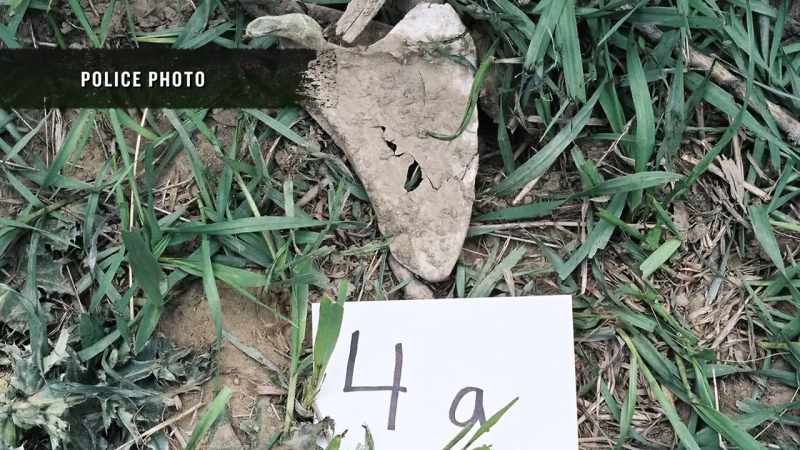 Crime techs comb the isolated backyard