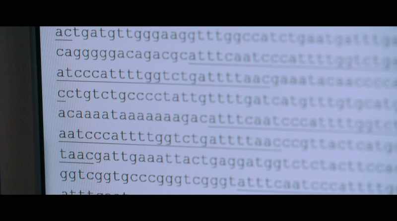 CRISPR is actually clustered