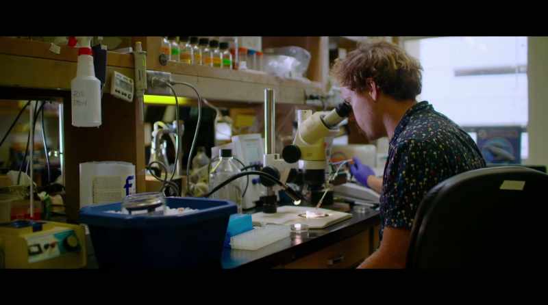 CRISPR gives us the chance to make precise