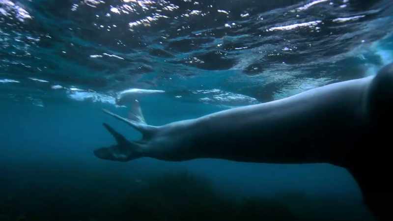 [Cristina Mittermeier] I don't feel threatened