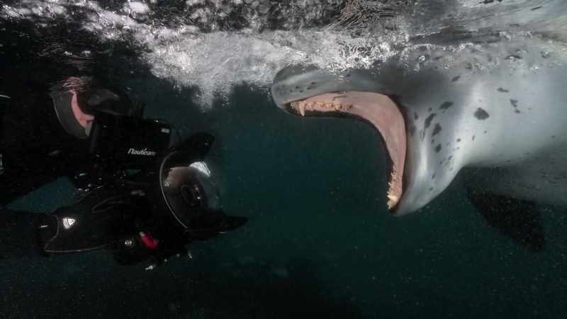 [Cristina Mittermeier] I think he has a very different