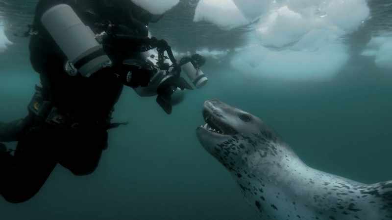 [Cristina Mittermeier] So that's what makes Paul Nicklen
