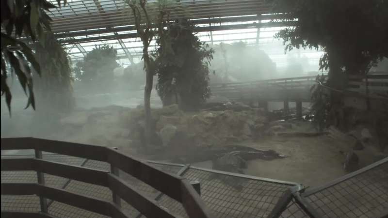 Crocodiles have been introduced into this brooding jungle