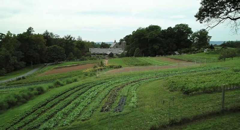 Crop rotation is just really moving plants around
