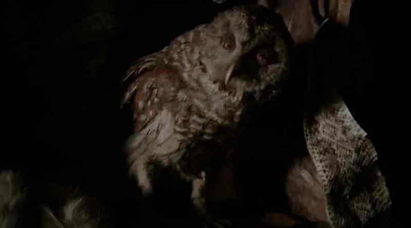[Crow caws]