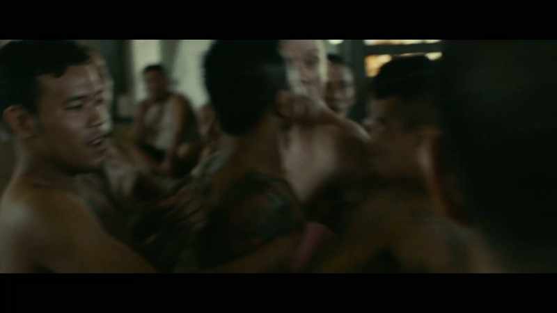 CROWD OF BOXERS SHOUTS