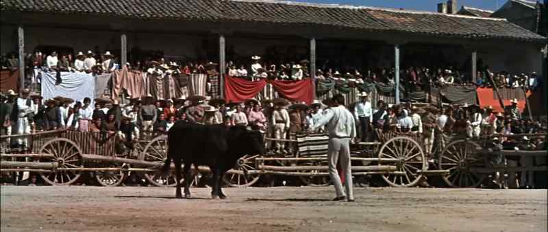 CROWD: Olé!