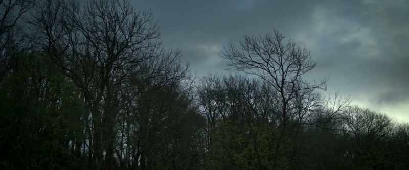 [crows cawing]