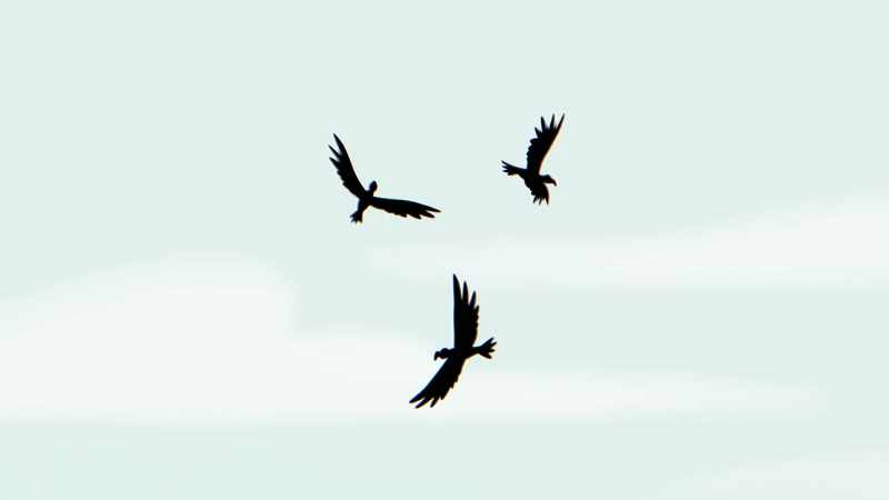 [crows cawing]