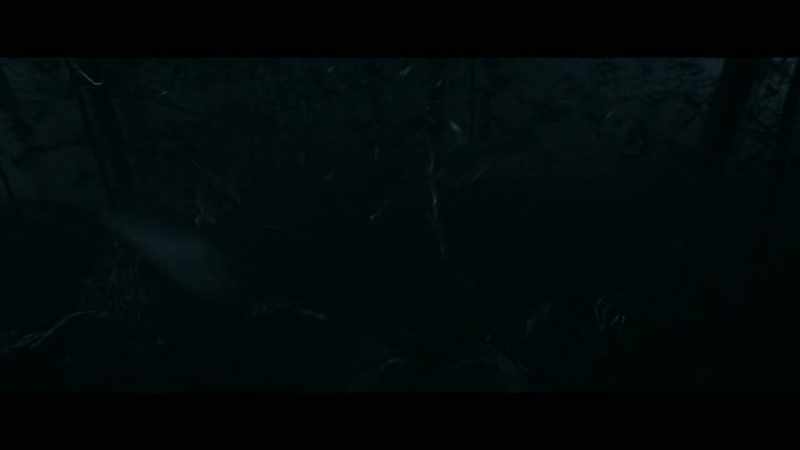 [crows squawking]