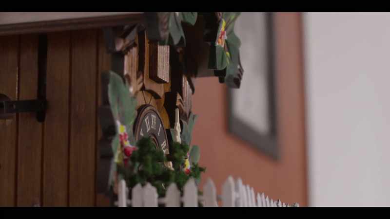 [cuckoo cuckoo]